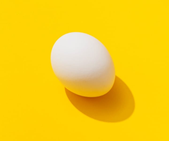 picture of egg